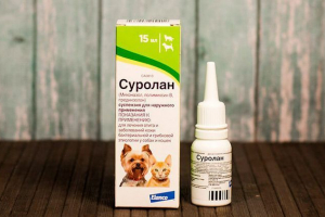 Jak zastosować krople douszne surien?